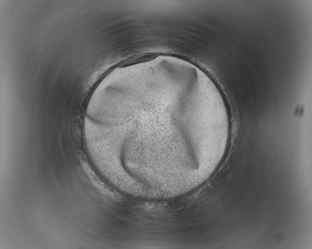 X0000111660345200908071439