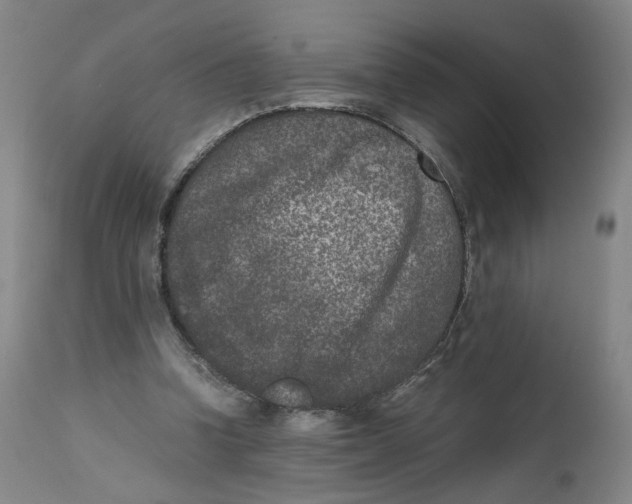 X0000111660346200908071439