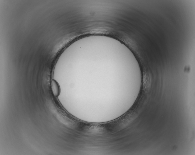 X0000111660348200908071439