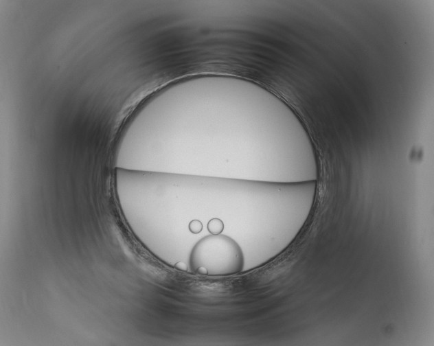 X0000111660349200908071439