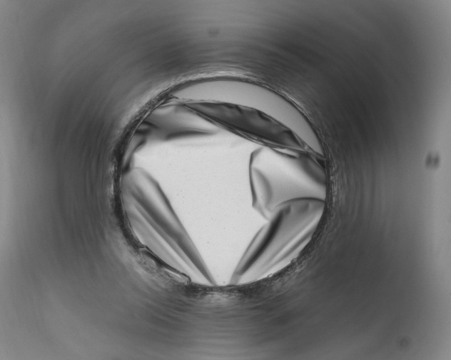 X0000111660350200908071439