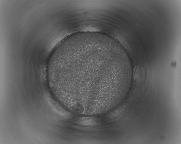 X0000111660351200908071439