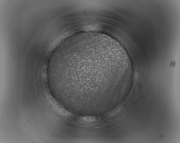 X0000111660353200908071439