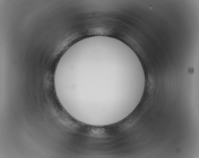 X0000111660355200908071439