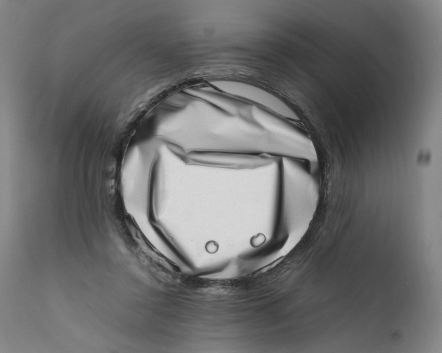 X0000111660356200908071439