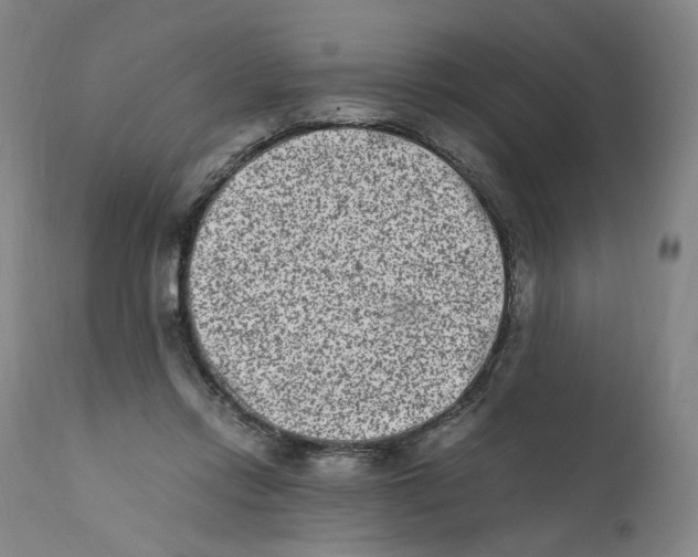 X0000111660358200908071439