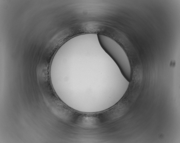 X0000111660360200908071439