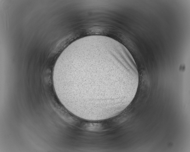 X0000111660361200908071439