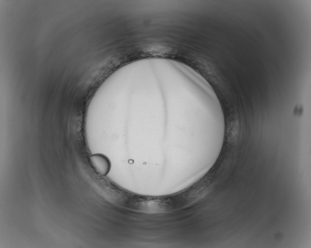 X0000111660365200908071439