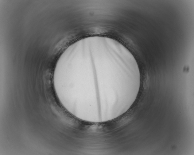 X0000111660366200908071439