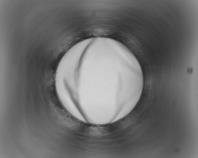 X0000111660367200908071439