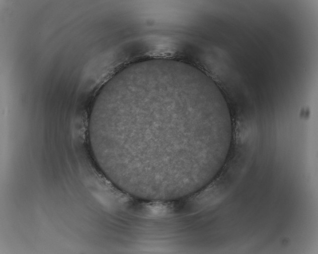 X0000111660370200908071439