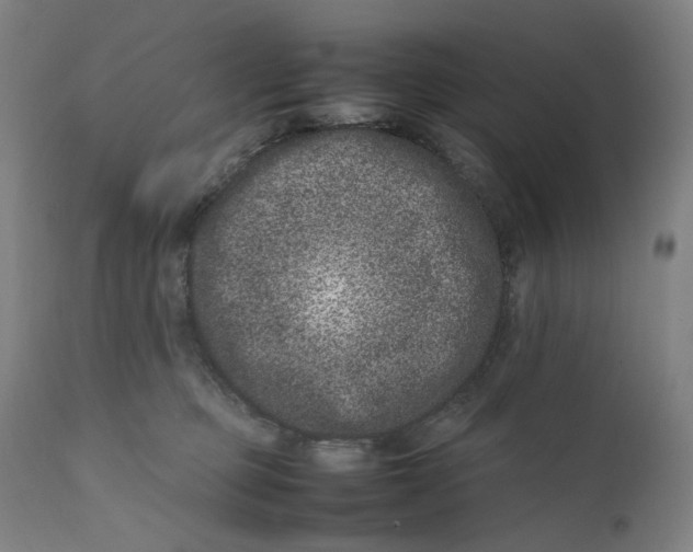 X0000111660373200908071439