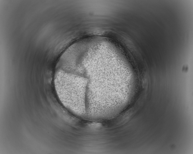 X0000111660374200908071439