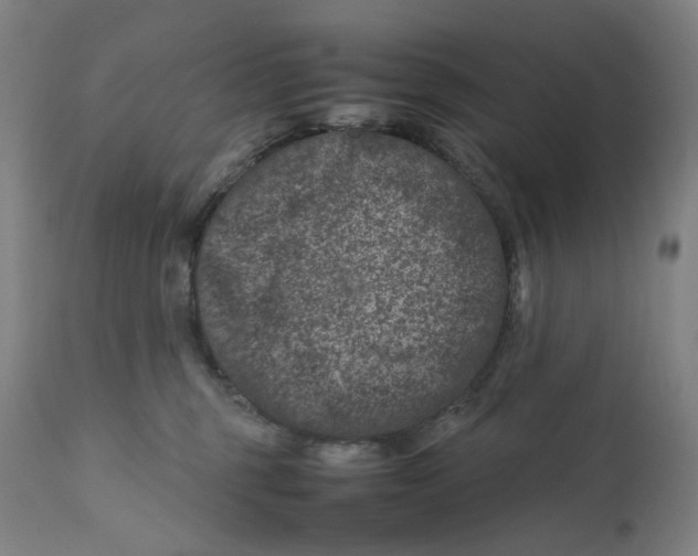 X0000111660375200908071439