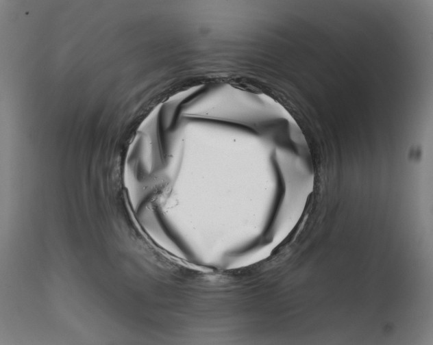 X0000111660376200908071439