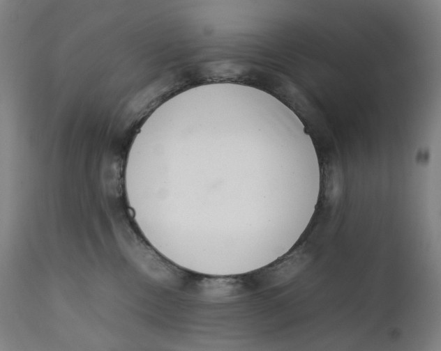 X0000111660378200908071439