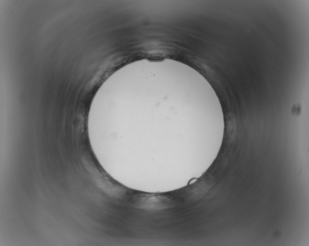 X0000111660379200908071439