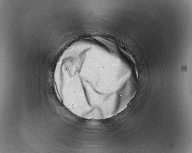 X0000111660380200908071439