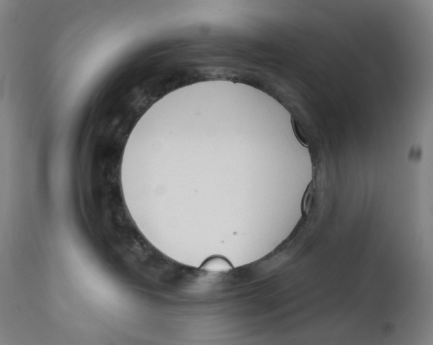 X0000111660382200908071439