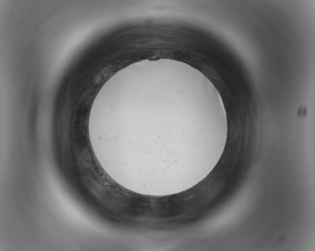 X0000111660383200908071439