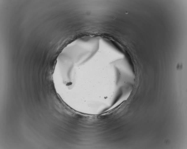 X0000111660384200908071439