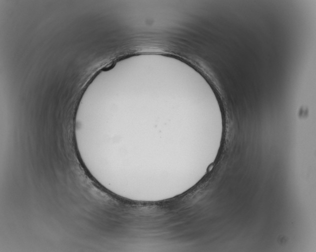 X0000111660385200908071439