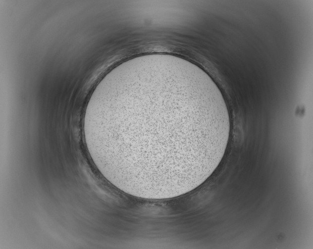 X0000111660386200908071439