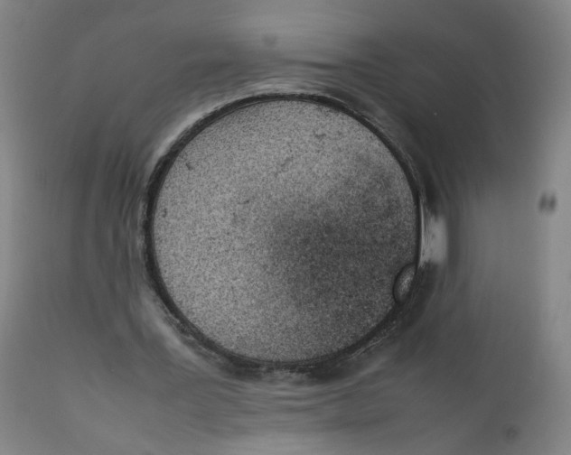 X0000111660387200908071439