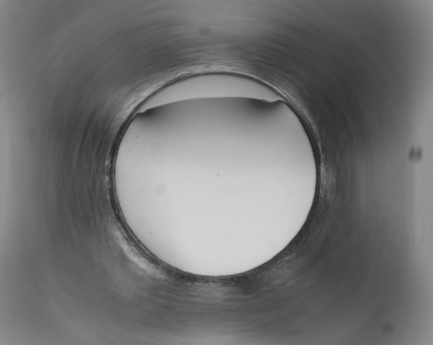 X0000111660389200908071439