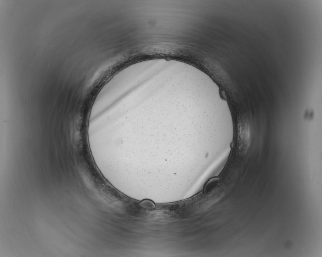 X0000111660396200908071438