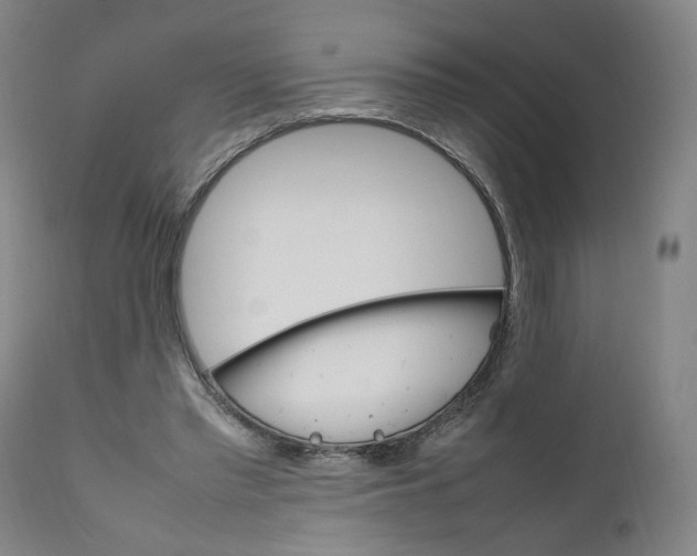 X0000111660397200908071438