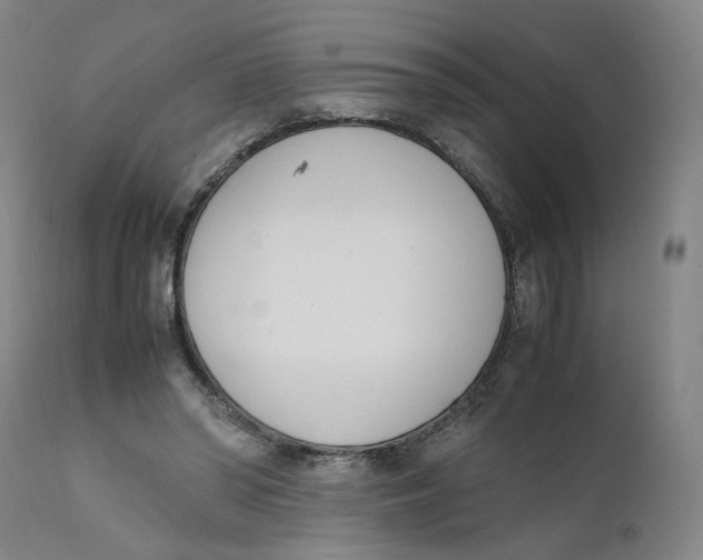 X0000111660398200908071438