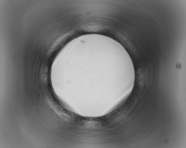 X0000111660400200908071438