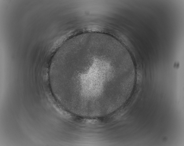 X0000111660401200908071438