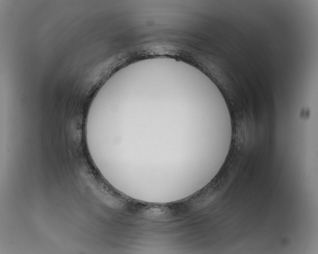 X0000111660402200908071438