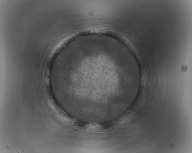 X0000111660403200908071438