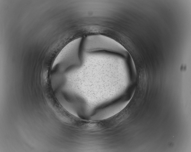 X0000111660406200908071438