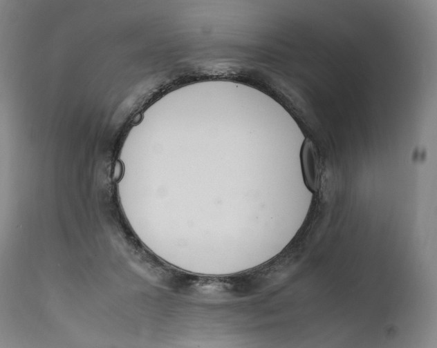 X0000111660407200908071438