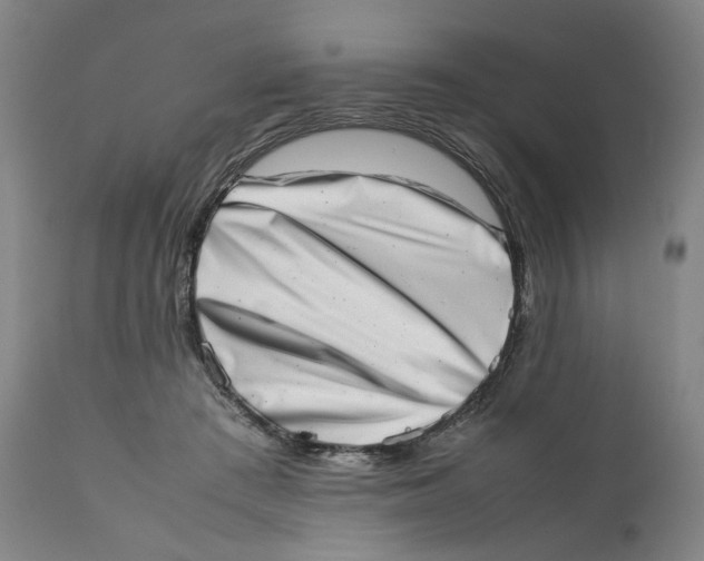 X0000111660409200908071438