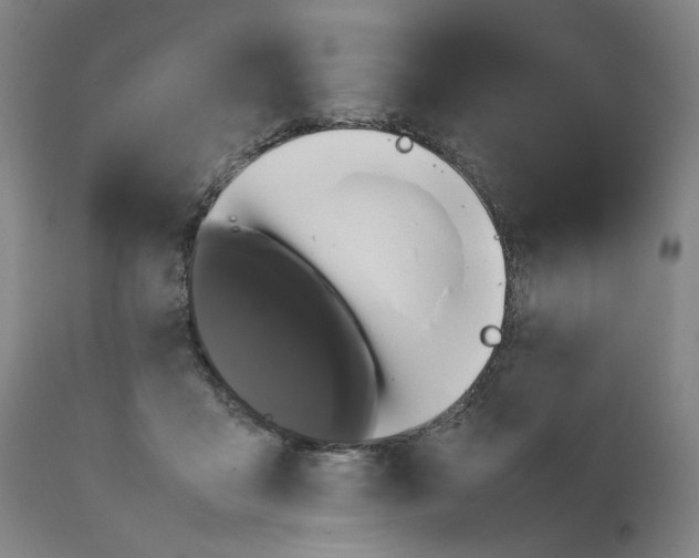 X0000111660411200908071438