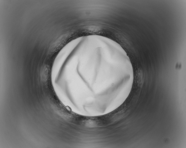 X0000111660412200908071438