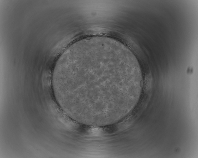 X0000111660413200908071438