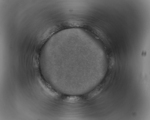 X0000111660414200908071438