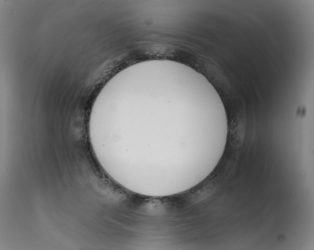 X0000111660416200908071438