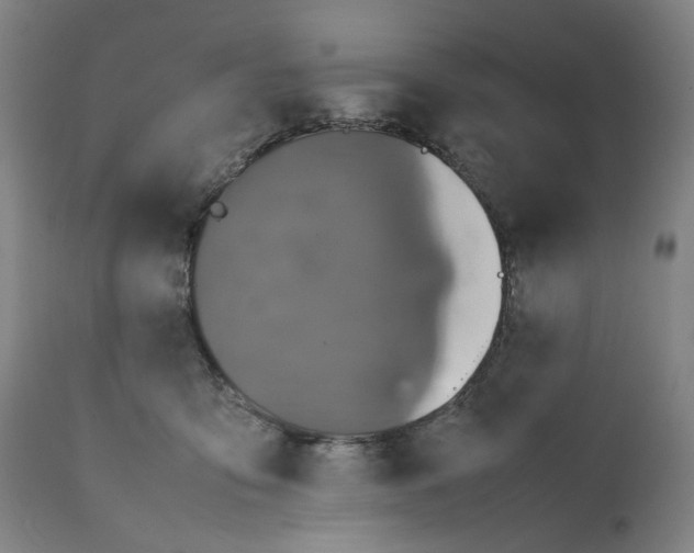 X0000111660419200908071438