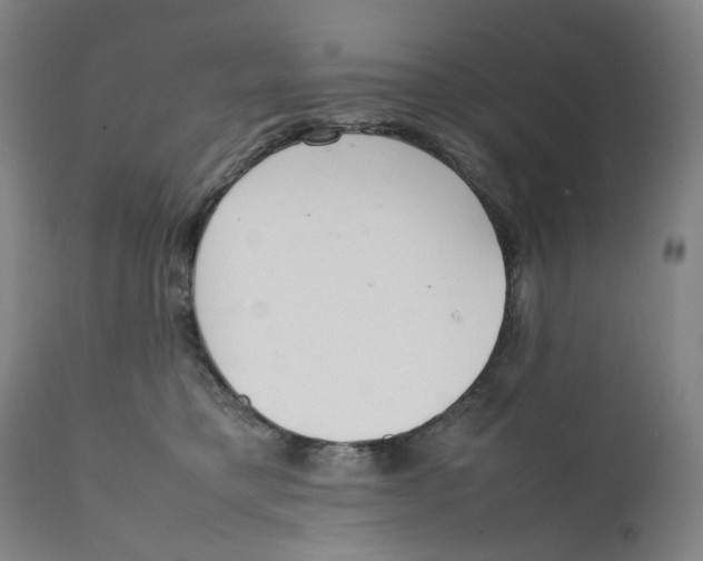 X0000111660421200908071438