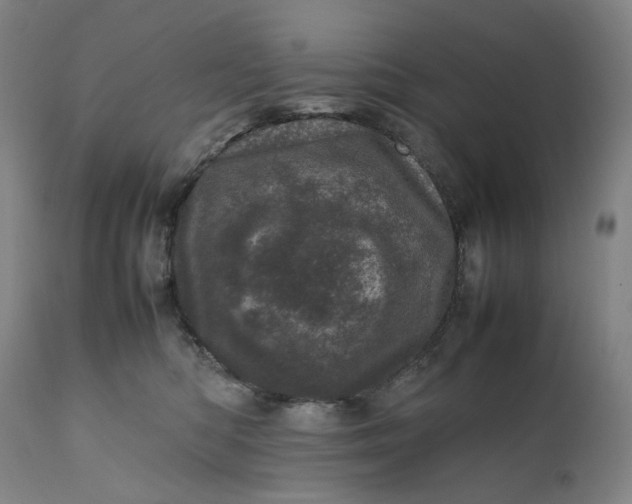 X0000111660422200908071438