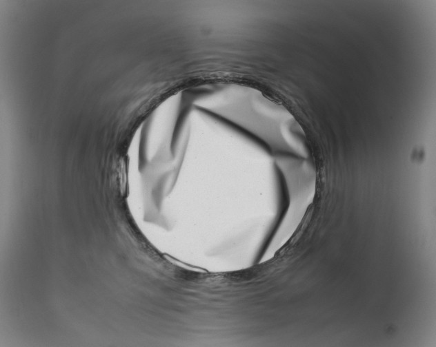 X0000111660423200908071438