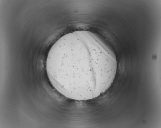 X0000111660424200908071438